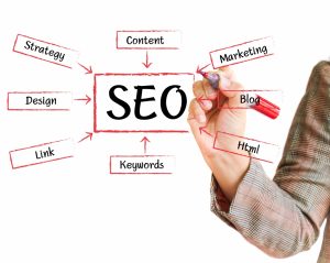 سيو SEO)) للمبتدئين: شرح مبسط لأهميته وأساسيات تحسين محركات البحث