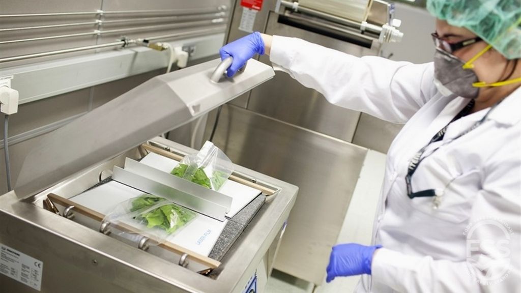 تصميم التغليف (Packaging Design): فن يجمع بين الجمال والوظيفة والتسويق